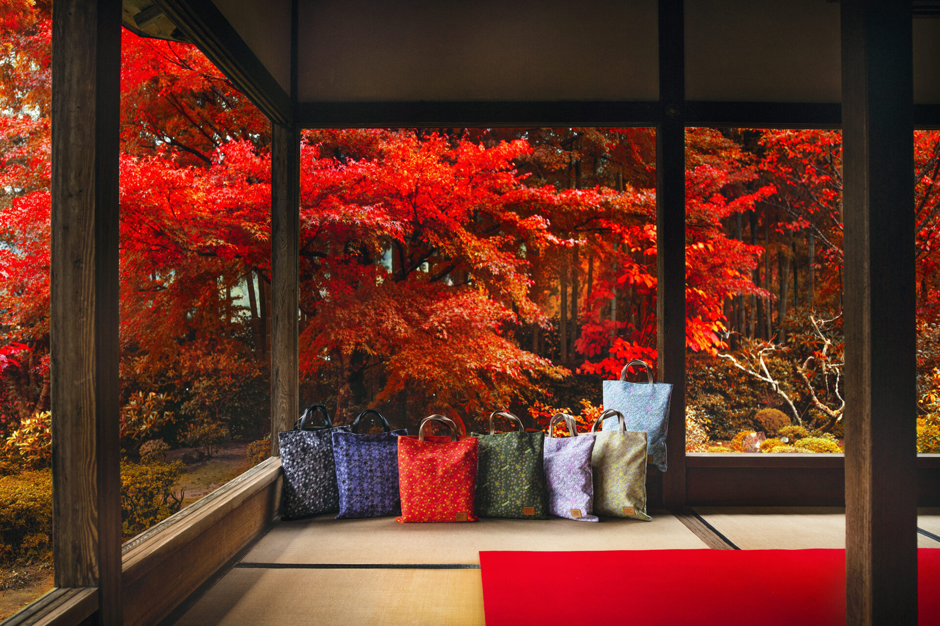 宝泉院　京都　紅葉