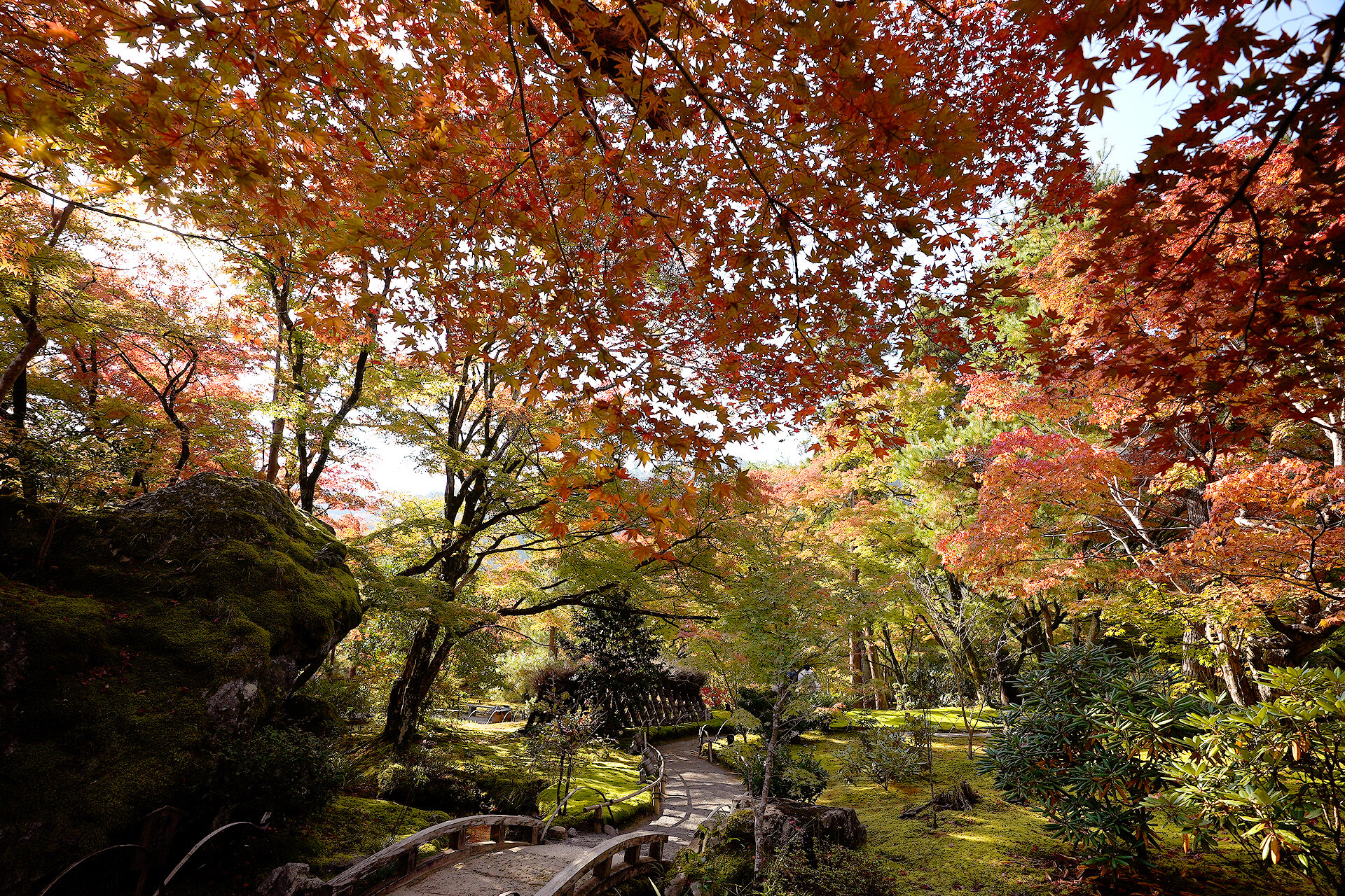 宝厳院 紅葉 京都