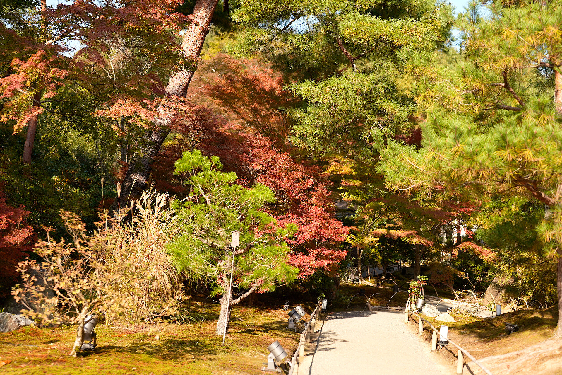 宝厳院 紅葉 京都