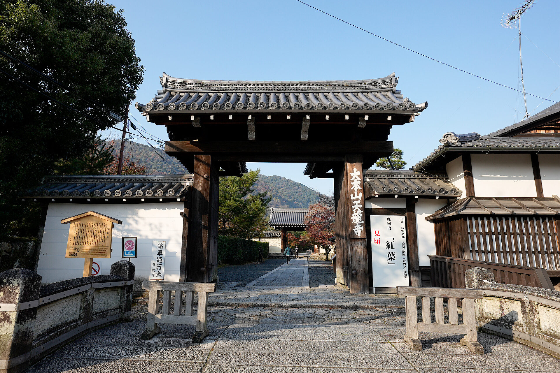 天龍寺 紅葉 京都