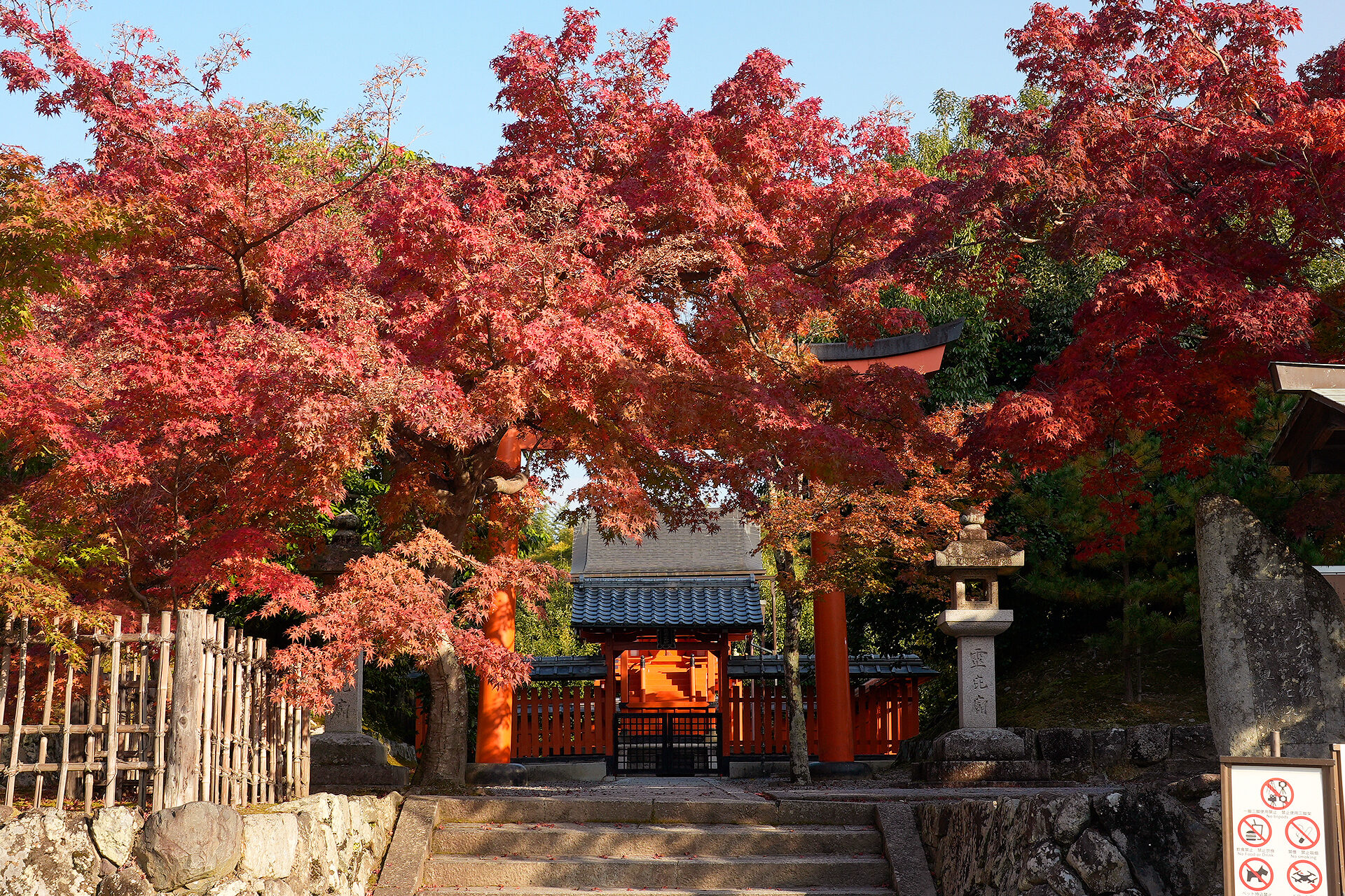 天龍寺 紅葉 京都