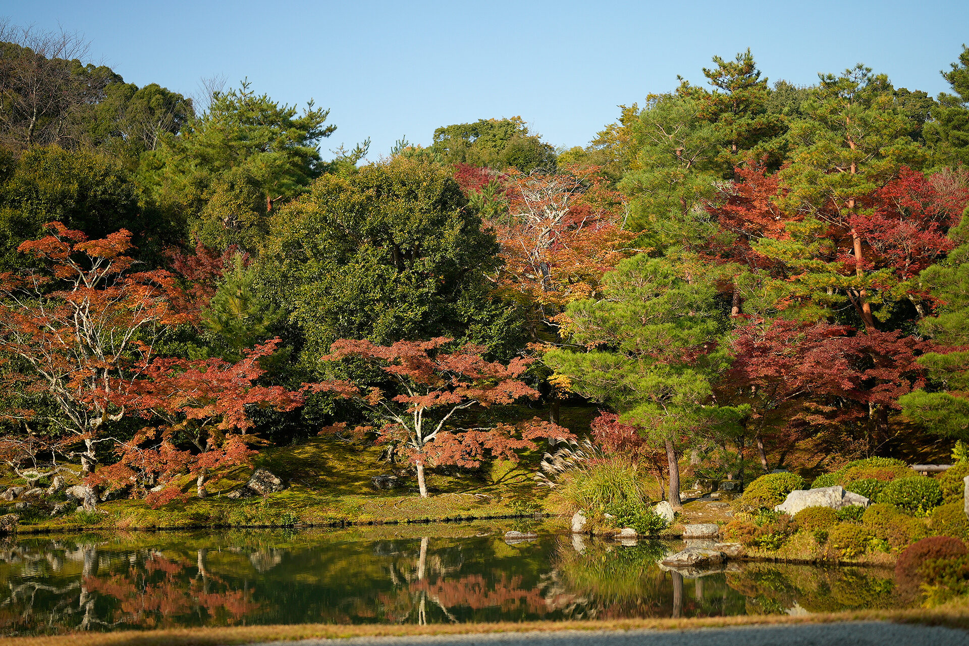 天龍寺 紅葉 京都