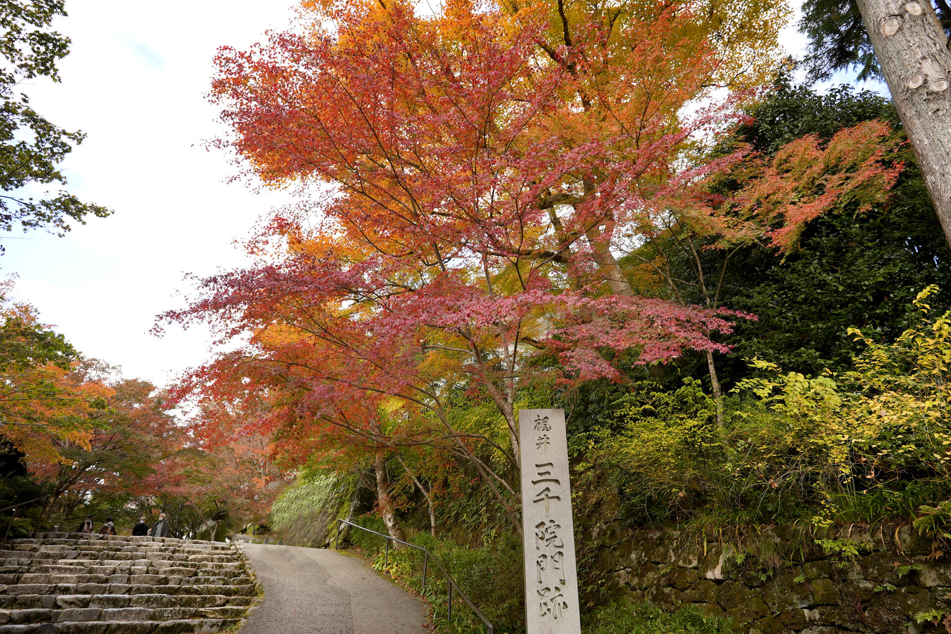京都大原三千院 京都
