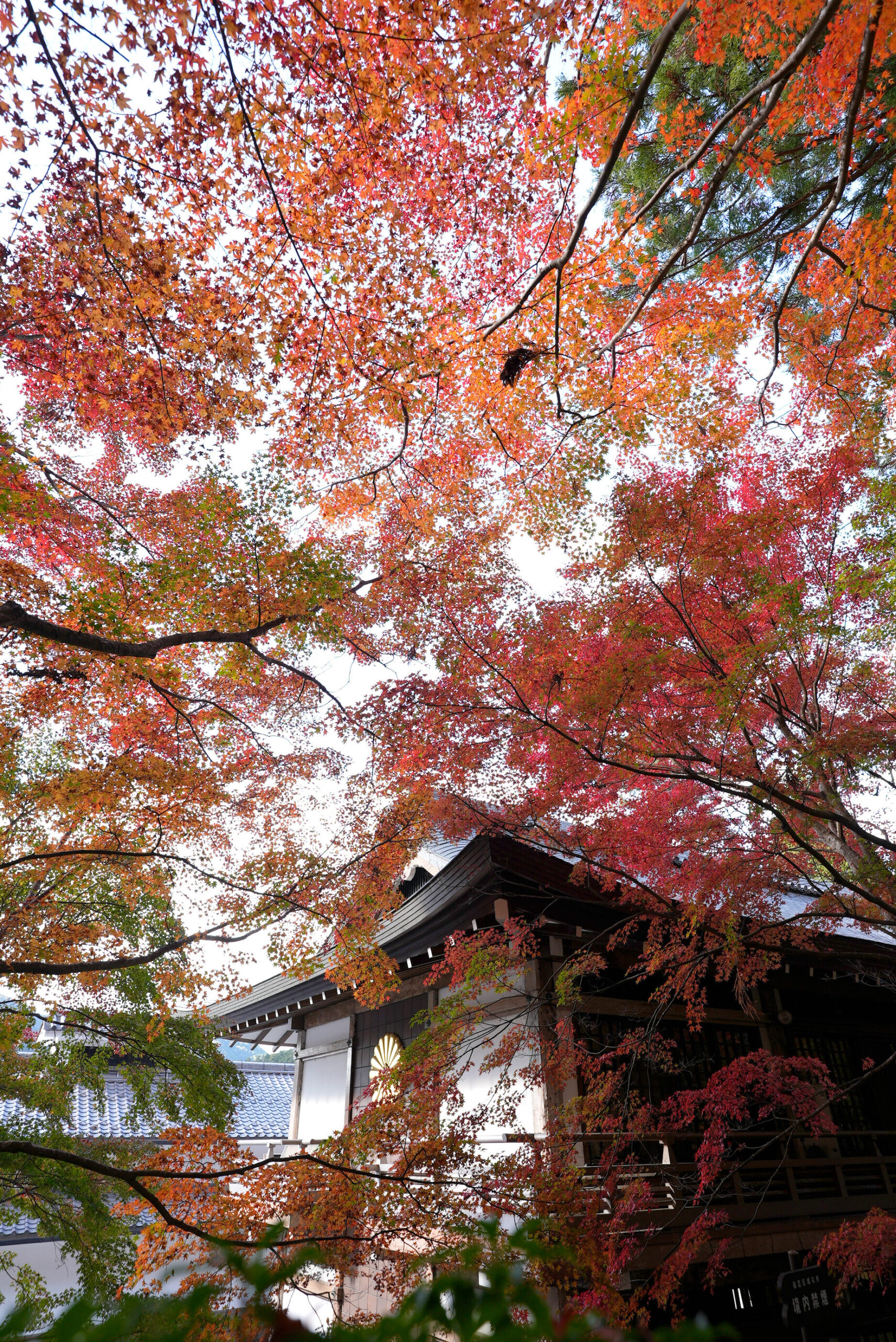 京都大原三千院 京都