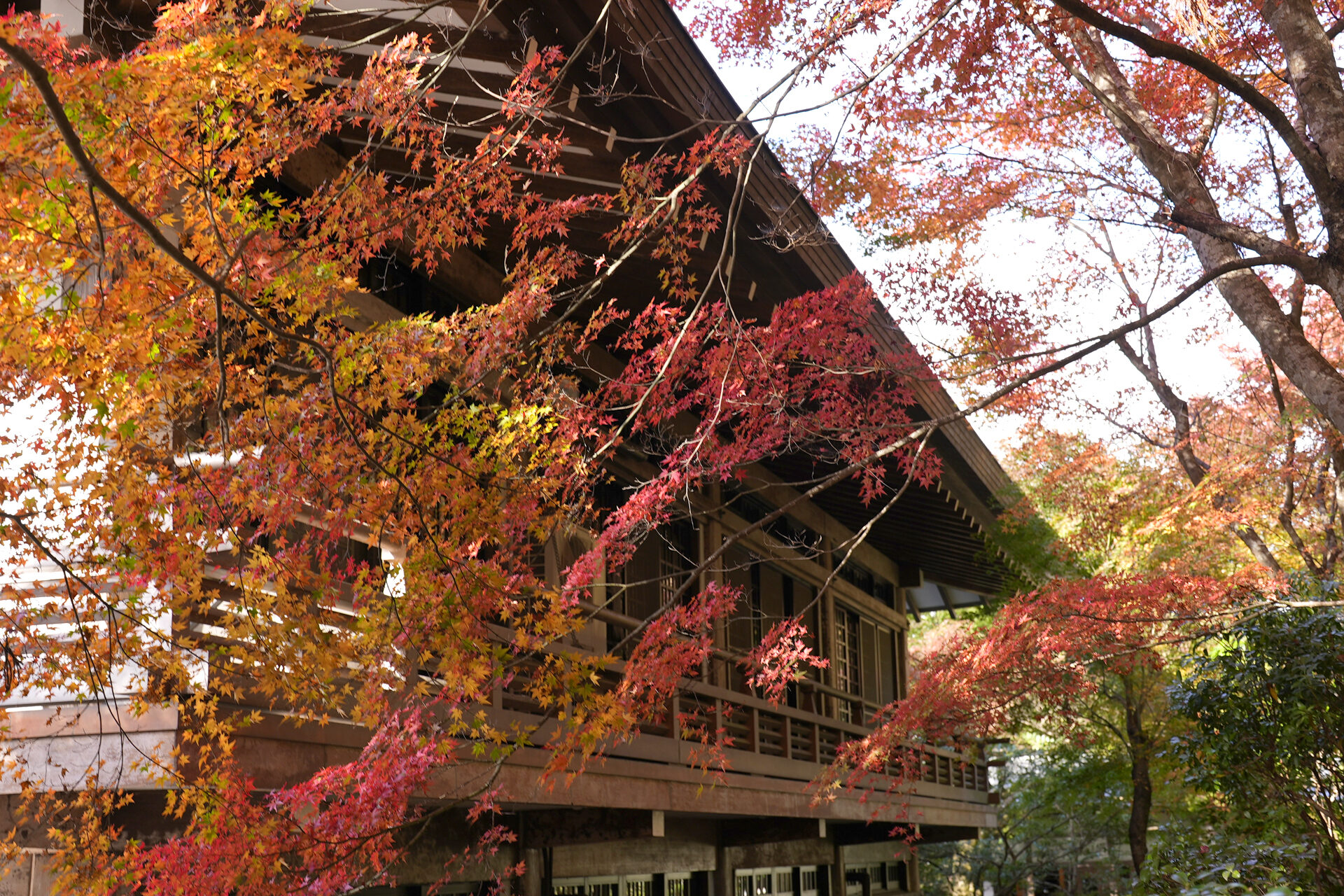 京都大原三千院 京都
