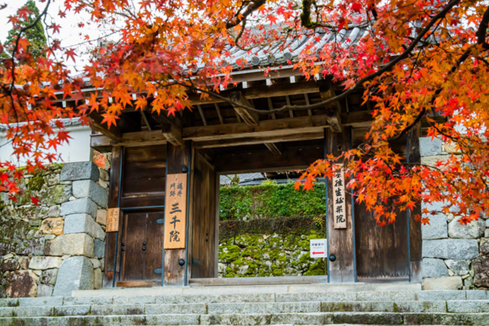京都大原三千院　京都