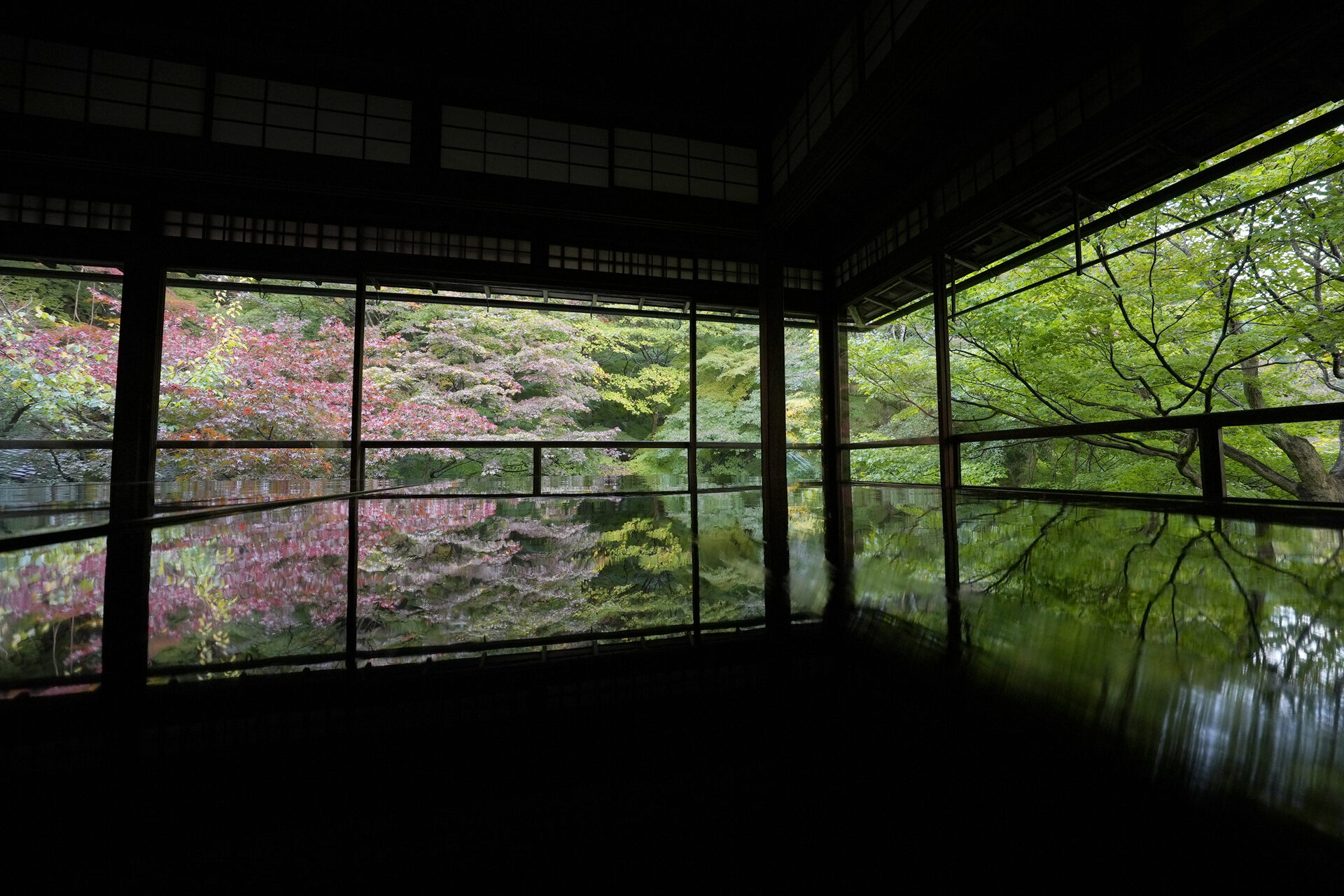 瑠璃光院 京都 紅葉