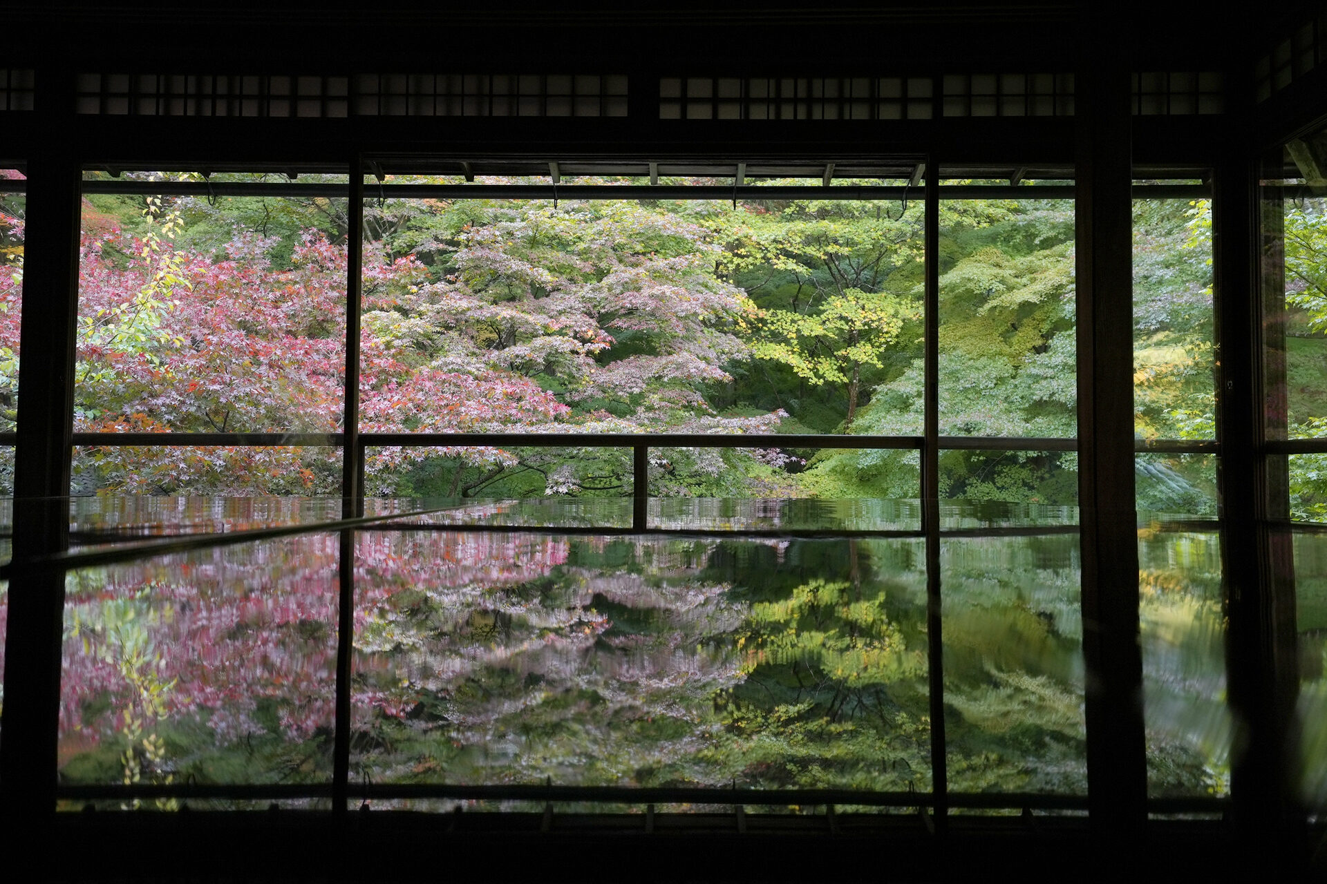 瑠璃光院 京都 紅葉