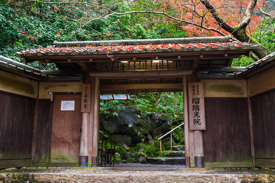瑠璃光院 京都