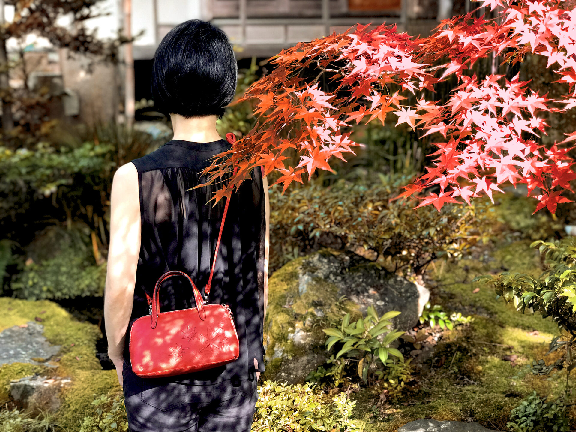 Iris | caede京都