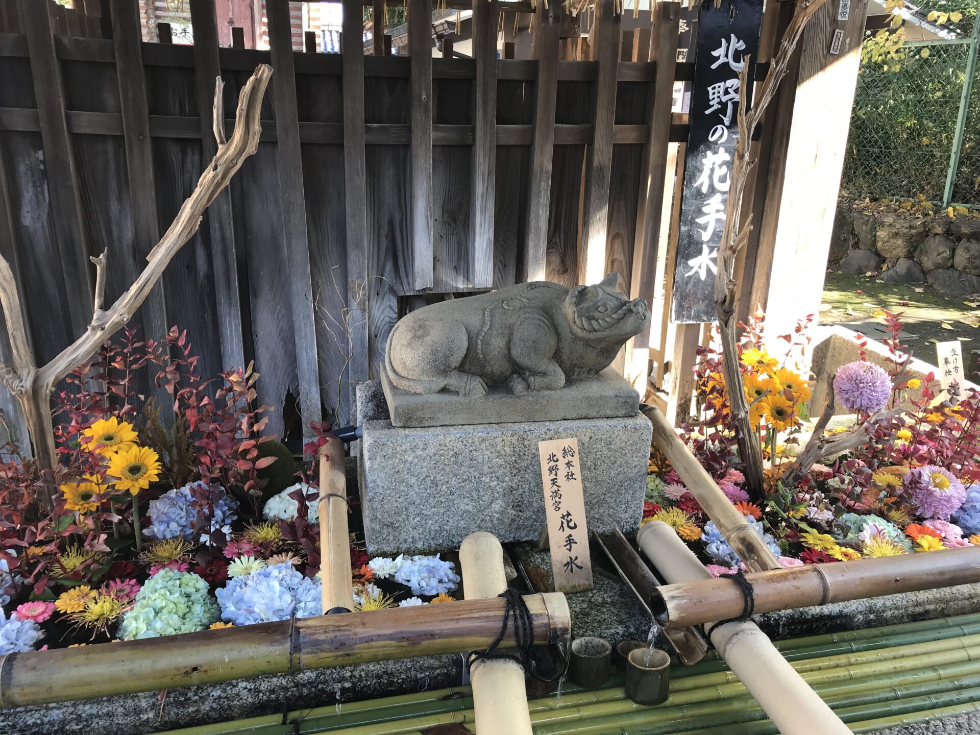 北野天満宮 紅葉
