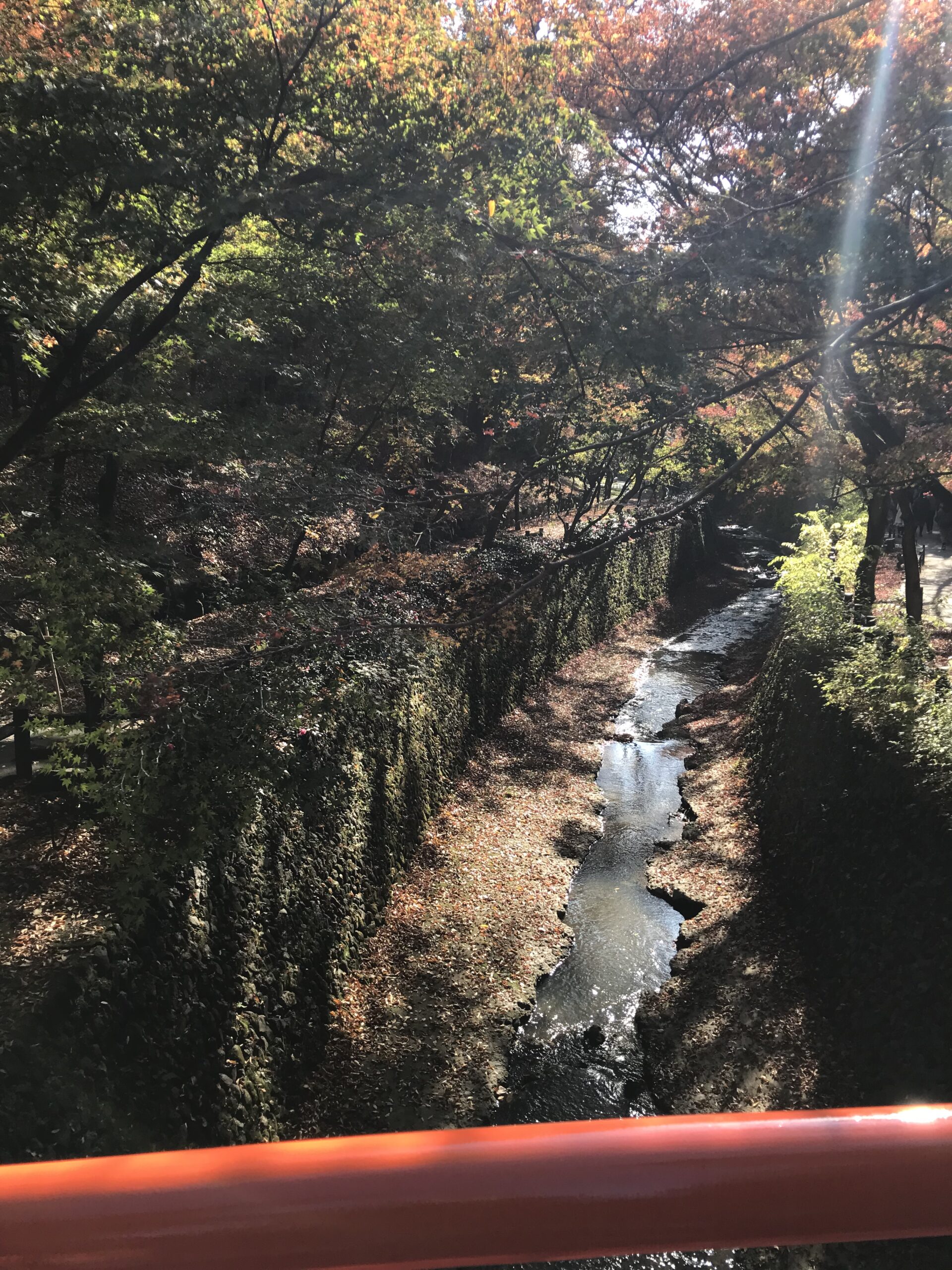 北野天満宮 紅葉