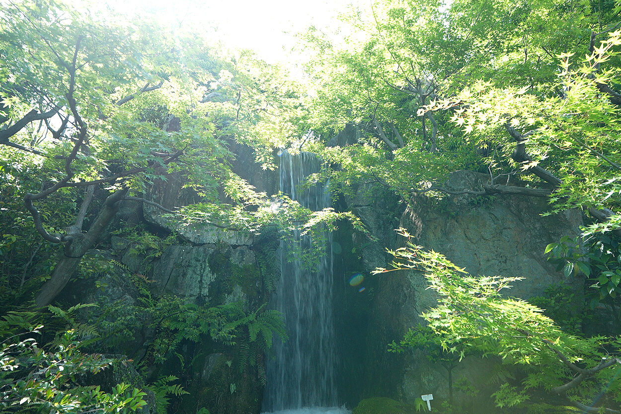 朱雀の庭 滝 梅小路公園 京都 観光名所