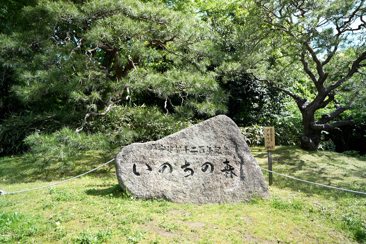 いのちの森 梅小路公園 京都 観光名所