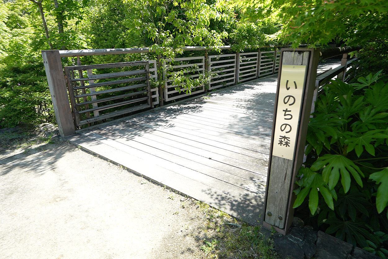 いのちの森 梅小路公園 京都 観光名所