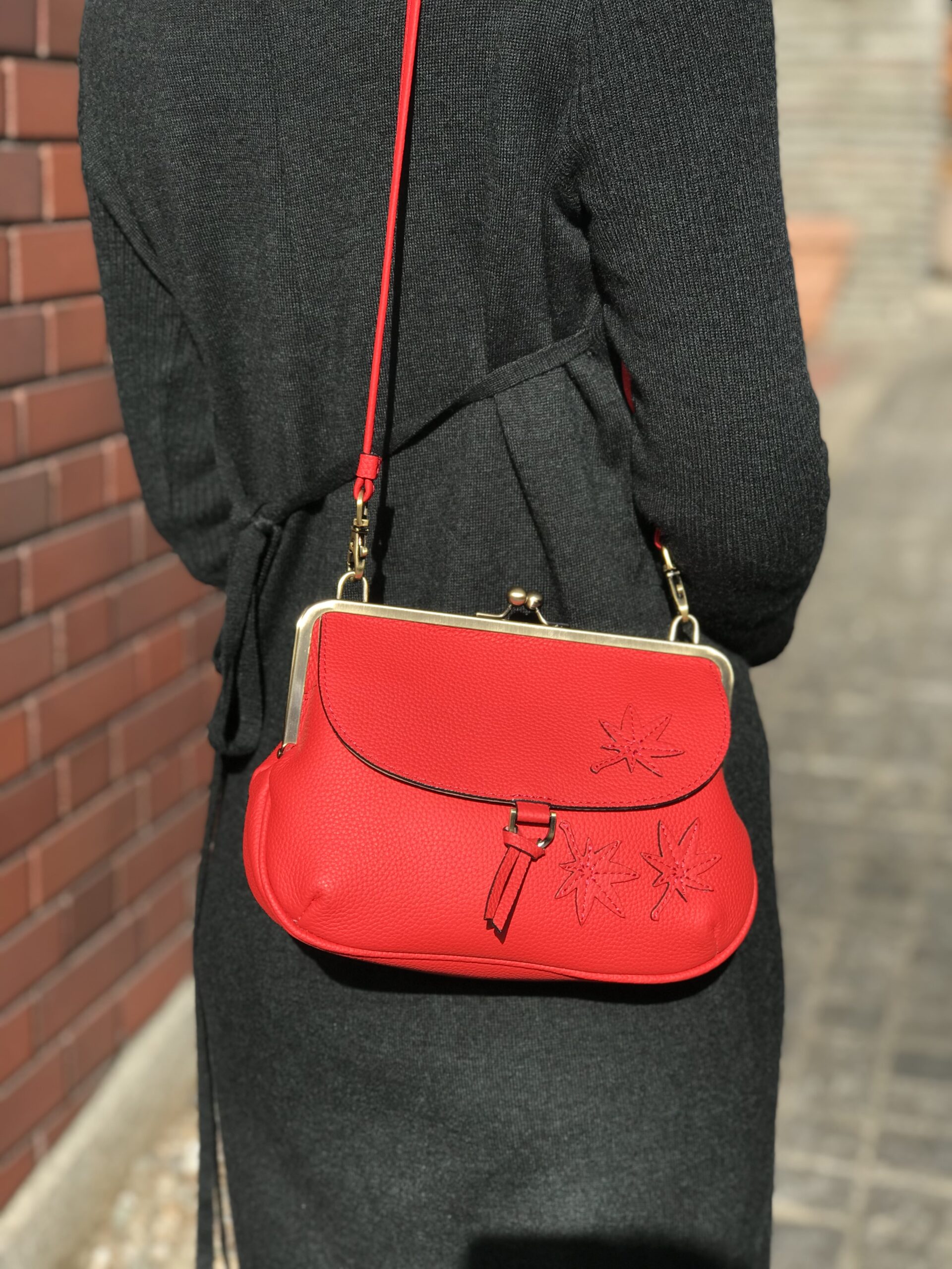 Ellisse Flame Pochette 74071 RED caede京都
