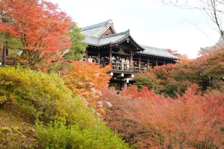 京都 東福寺 紅葉