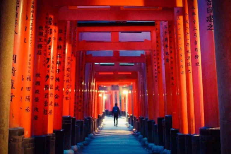 京都 伏見稲荷 紅葉