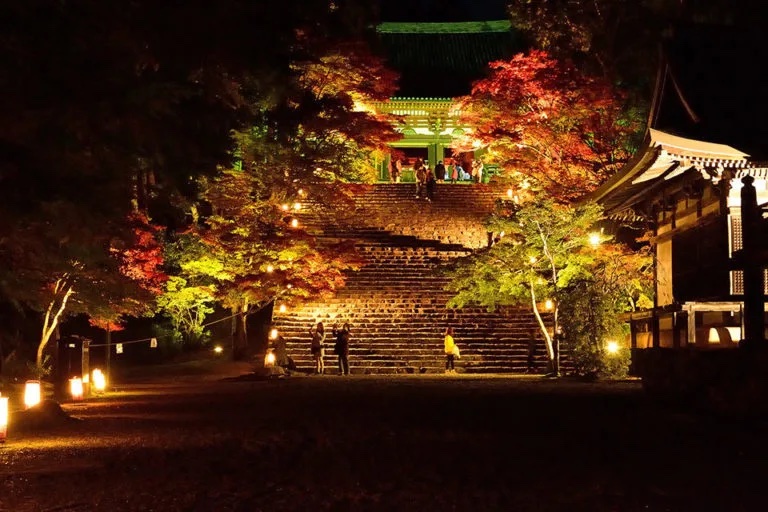 京都 知恩院 紅葉 ライトアップ