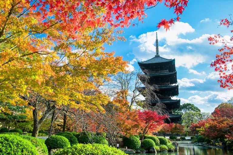 京都 東寺 紅葉