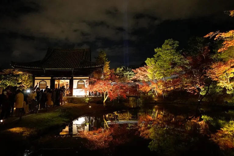 京都 高台寺 紅葉 ライトアップ